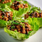 Turkey Lettuce Wraps with Asian Sauce