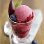Plum Sorbet