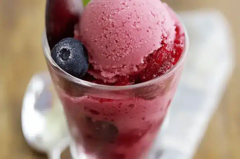 Plum Sorbet