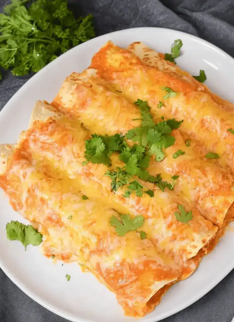 The Best and Easiest Beef Enchiladas