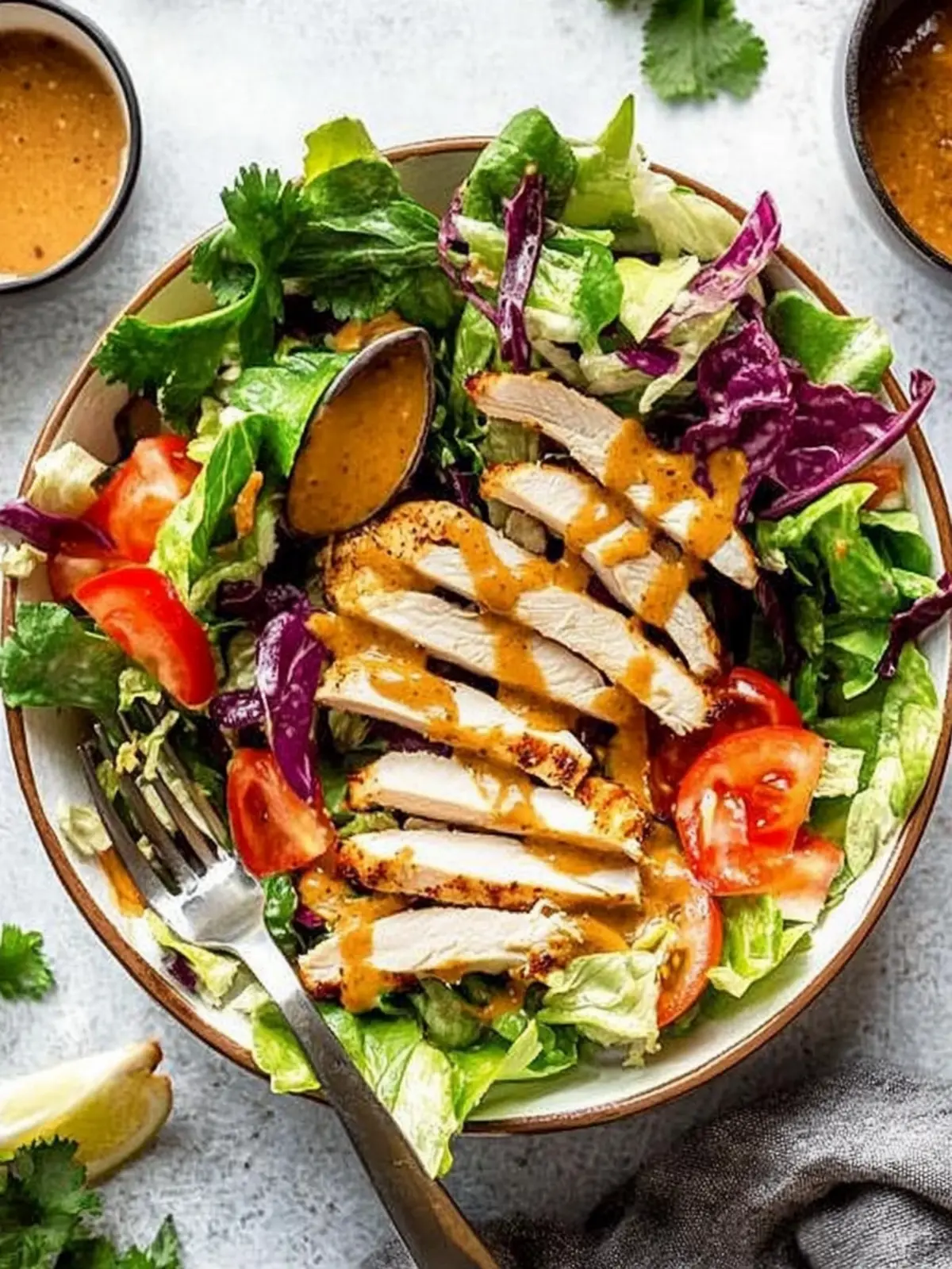 Houston’s Grilled Chicken Salad with Creamy Peanut Sauce Delight 2 Houston’s Grilled Chicken Salad