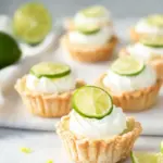 Mini Key Lime Pies: Bite-Sized Bliss for Every Celebration 13 Mini Key Lime Pies