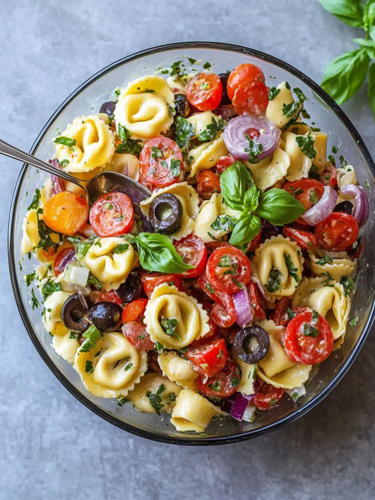 Mediterranean Tortellini Pasta Salad with Italian Dressing 3 Tortellini Pasta Salad (Italian Dressing)